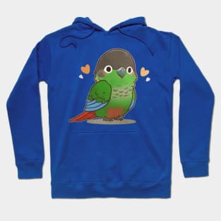 Green-cheeked Conure Parrot Hoodie